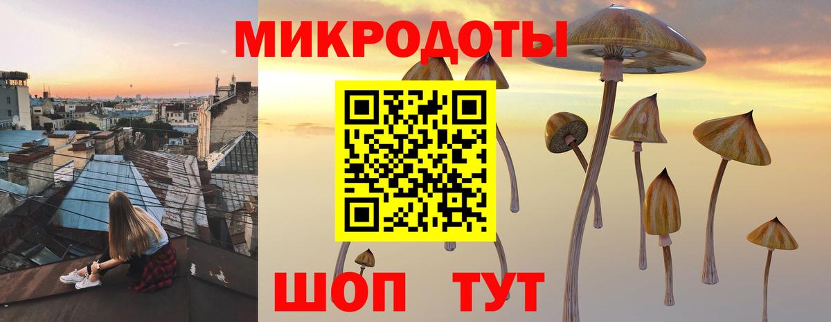Галлюциногенные грибы ЛСД Ревда